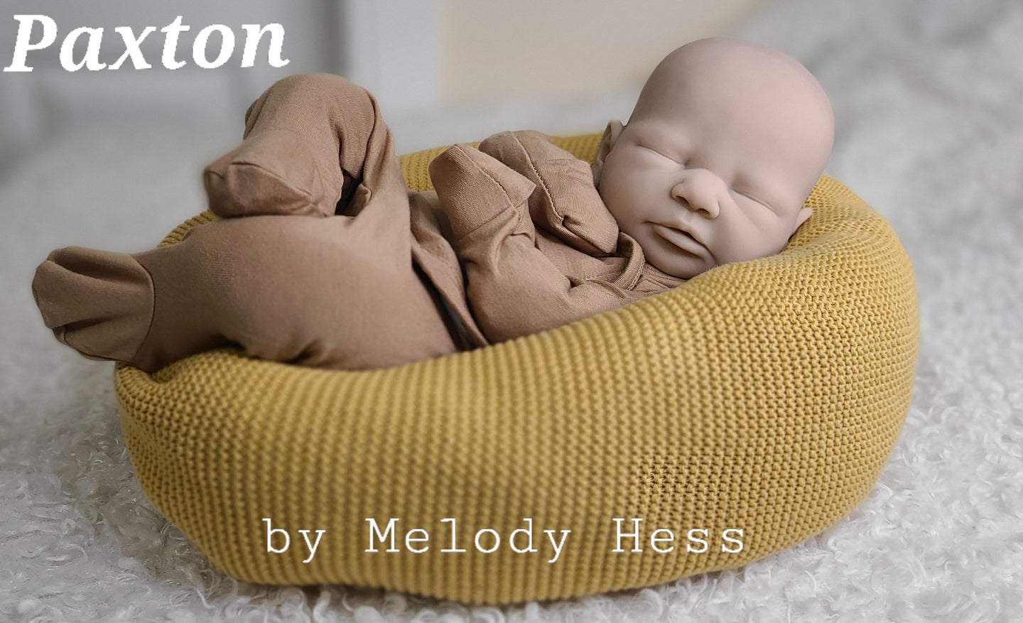 Paxton Silicone Cuddle Head (Poured on Demand)